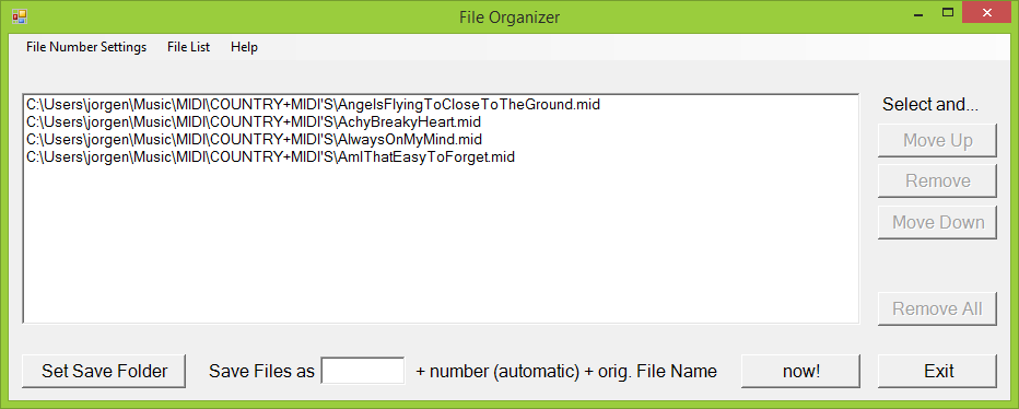 File Organizer